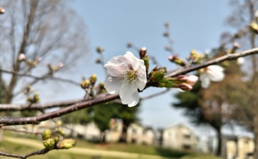 3月28日練習会報告